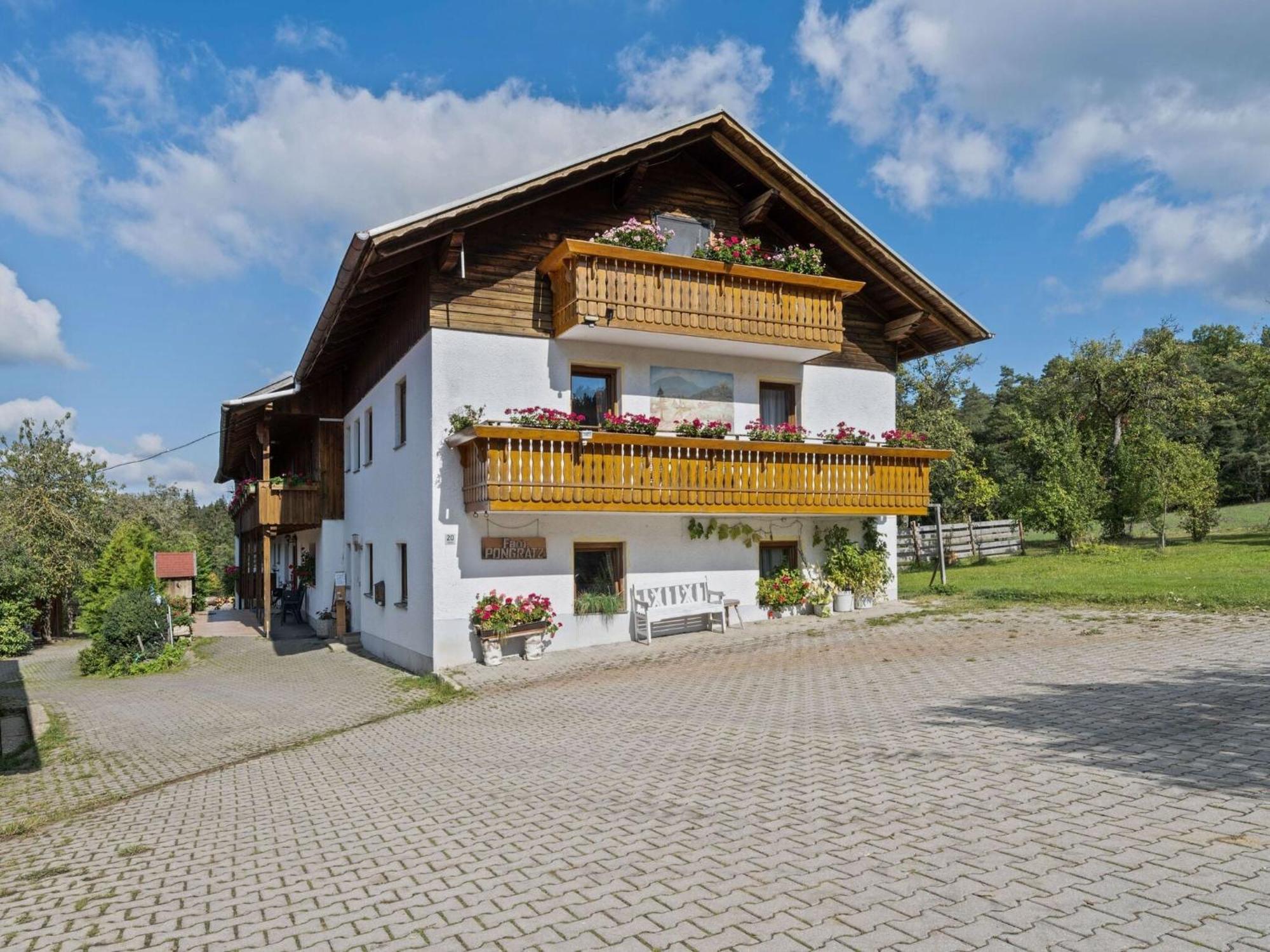 Apartment On A Farm Near The Ski Area Neukirchen beim Heiligen Blut Luaran gambar